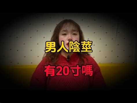 20公分陰莖